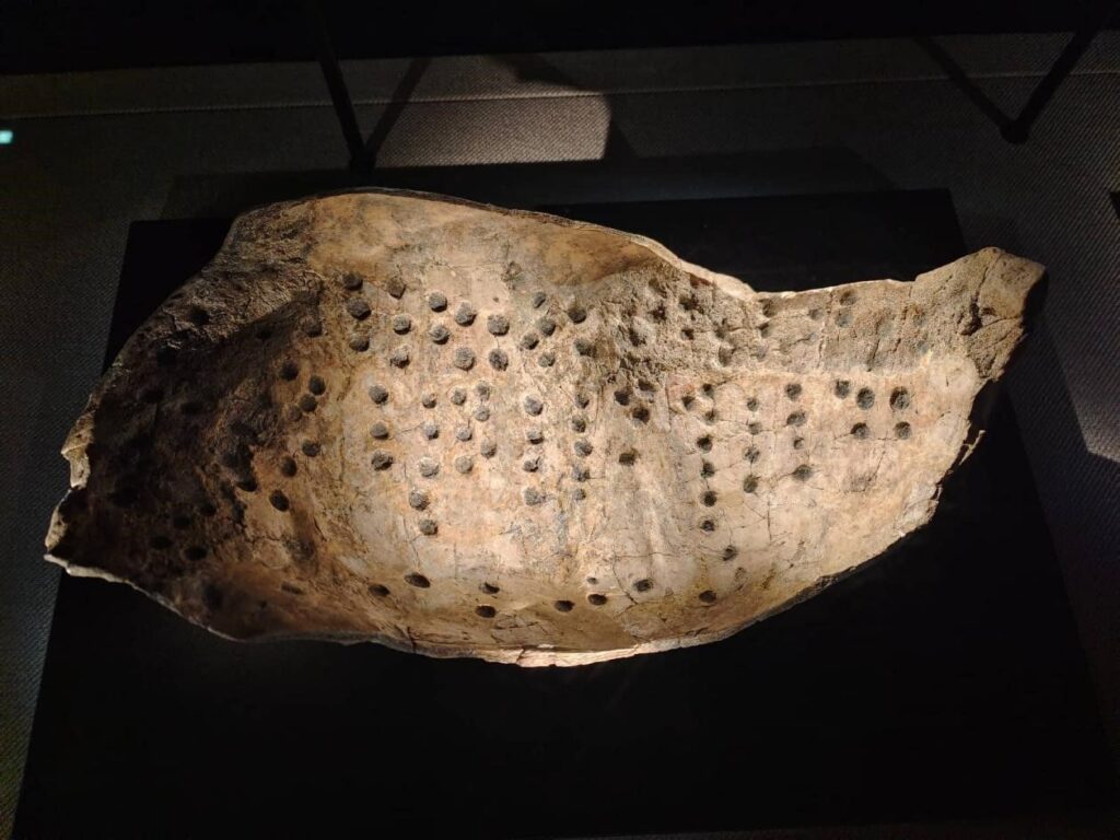 Plastron de tortue divinatoire de Jinsha (Collection du musée du site de Jinsha)