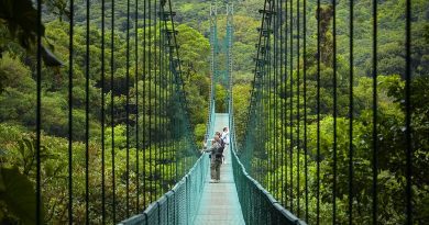 Monte_Verde_Verde Costa rica