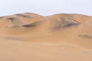 Namib desert