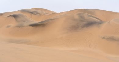 Namib desert