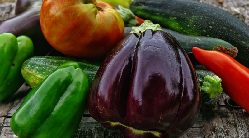 jardinage avoir son potager de légumes