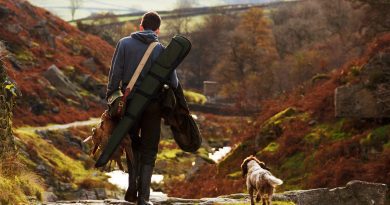 chien de chasse et son maître