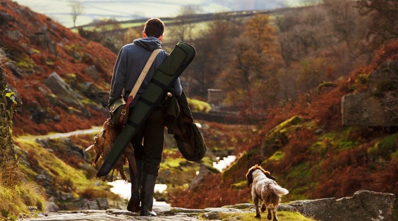 chien de chasse et son maître