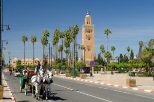 Marrakech en Calèche