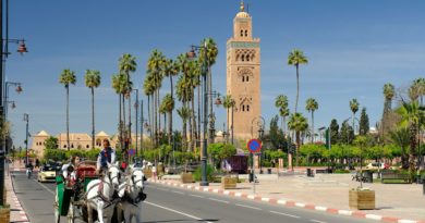 Marrakech en Calèche