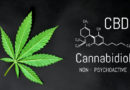 formule CBD ou cannabidiol