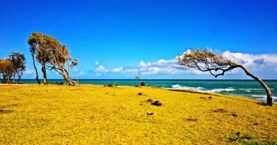 location de voiture en Guadeloupe pas chère