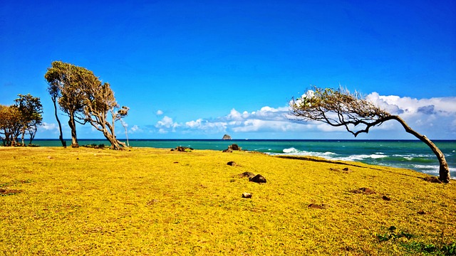 location de voiture en Guadeloupe pas chère