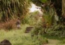 jardin en pente