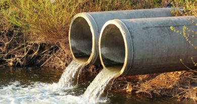 odeur égout - Canalisation bouchée