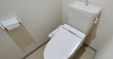 Toilette WC japonais