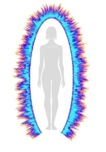 image bio-électrographie