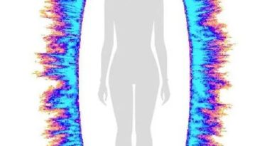 image bio-électrographie