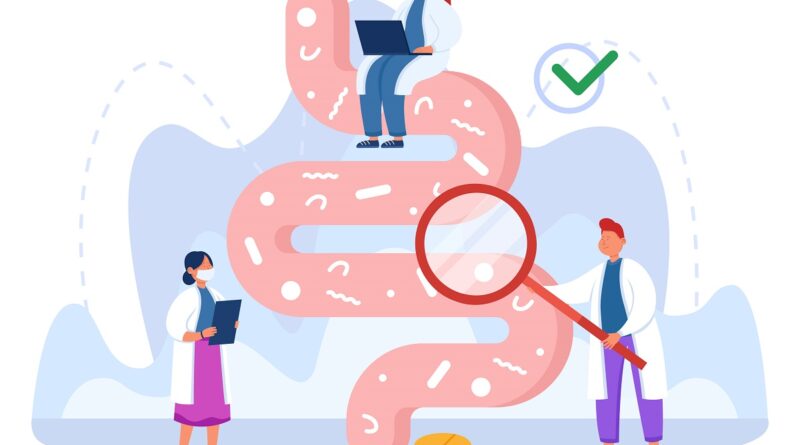 probiotiques minceurs