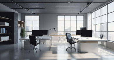 agence immobilière - immeuble professionnel