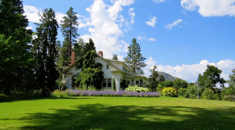 erreurs courantes éviter tonte pelouse