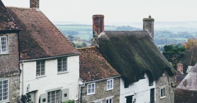 ramonage - air intérieur purifie