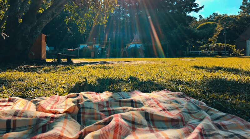 préparation pique-nique