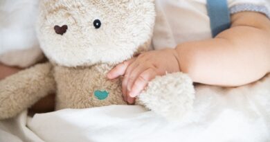 bebe ours en peluche