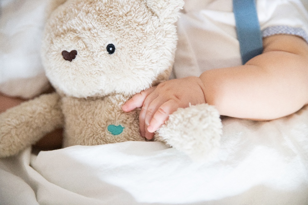bebe ours en peluche